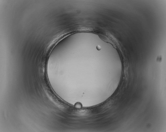 X0000114150059200911051451