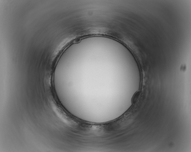 X0000114150060200911051451