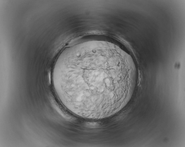 X0000114150061200911051451