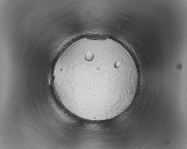 X0000114150062200911051451