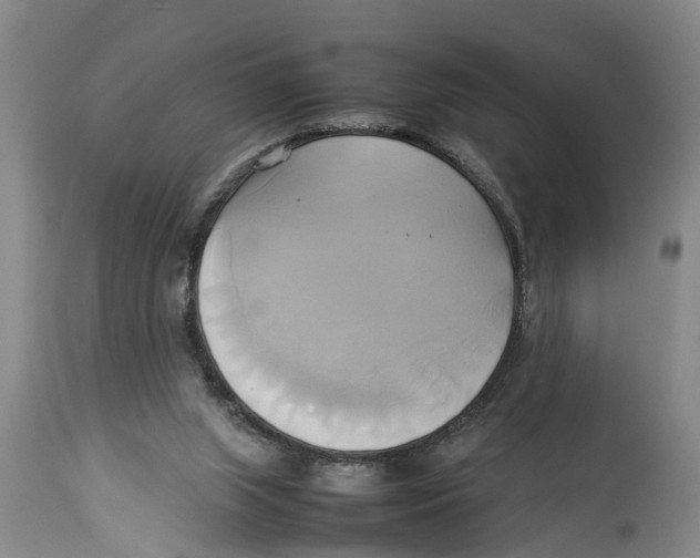X0000114150063200911051451