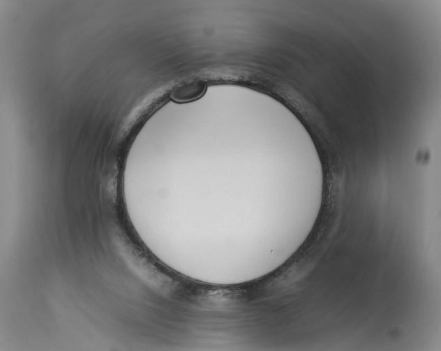 X0000114150064200911051451