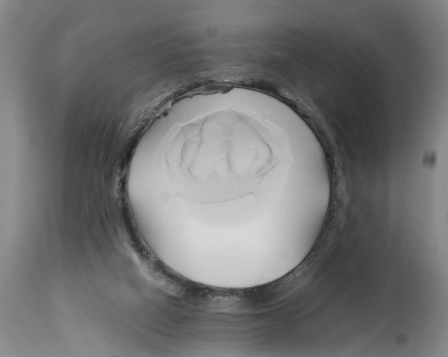 X0000114150066200911051451