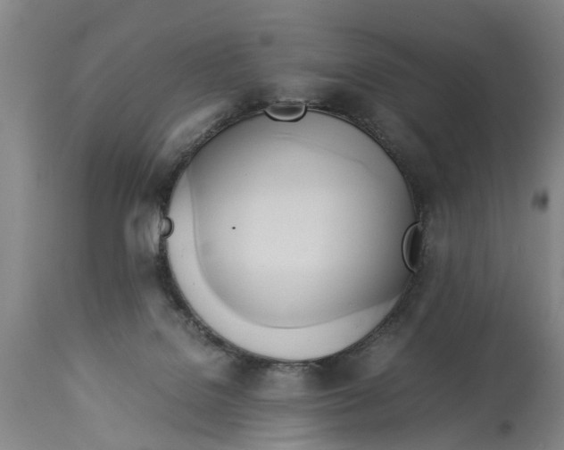 X0000114150076200911051451