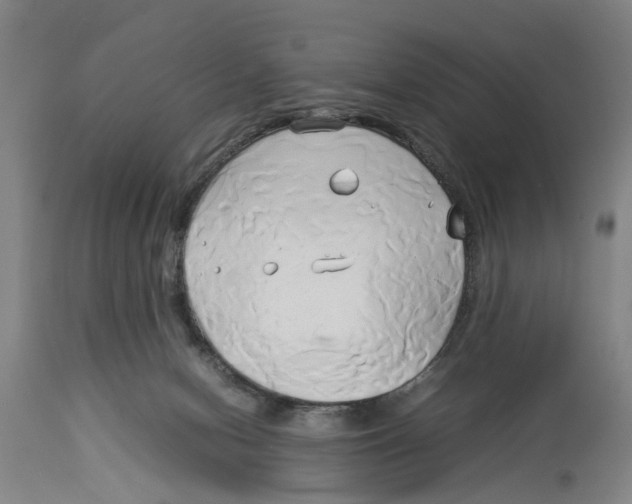 X0000114150078200911051451