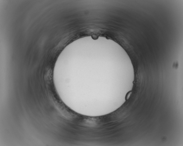 X0000114150079200911051451