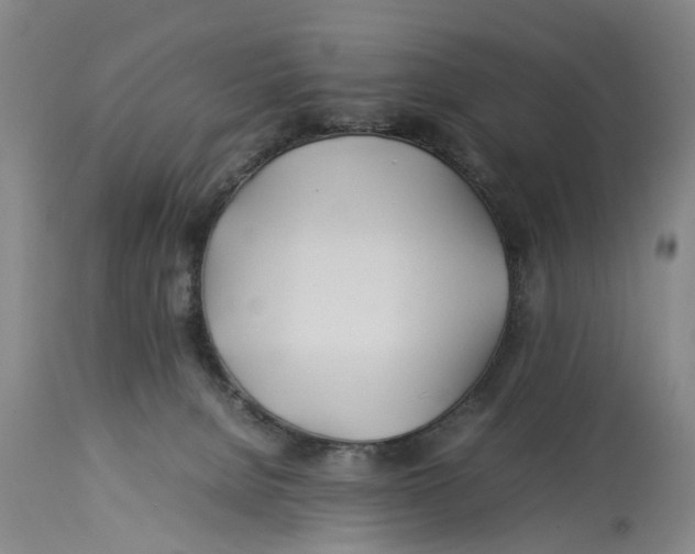 X0000114150080200911051451