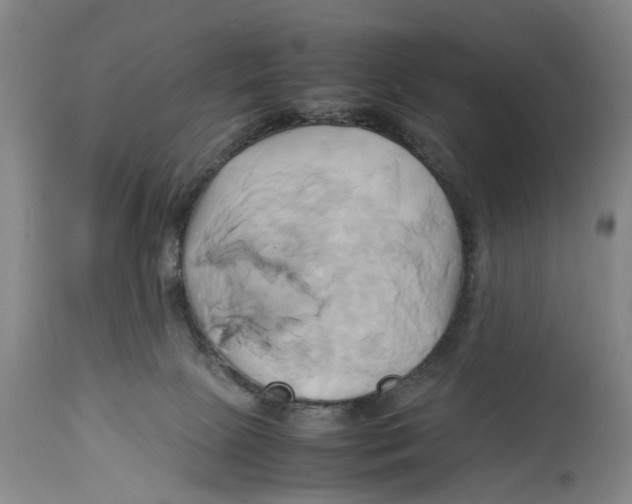 X0000114150081200911051451