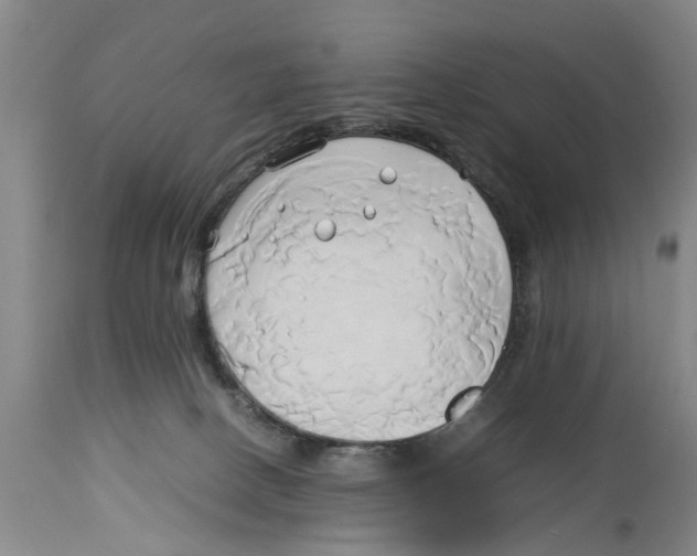 X0000114150082200911051451