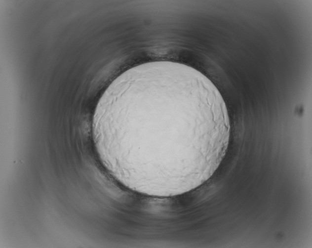 X0000114150085200911051451