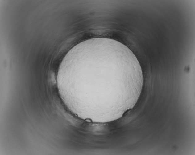 X0000114150089200911051452