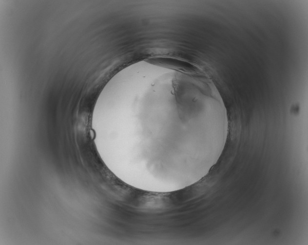 X0000114150093200911051452