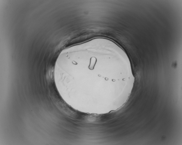 X0000114150094200911051452