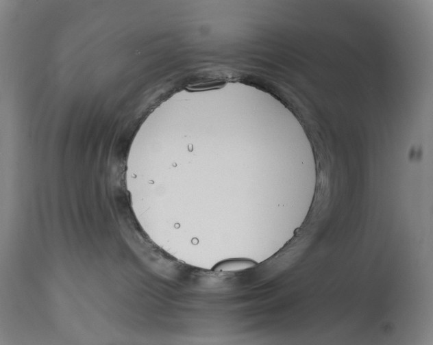 X0000114150096200911051452