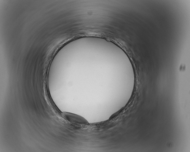 X0000114150097200911051451