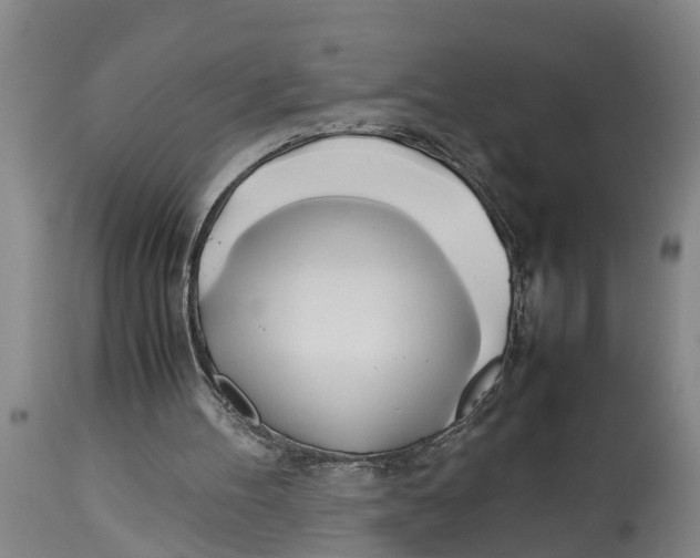 X0000114150100200911051451