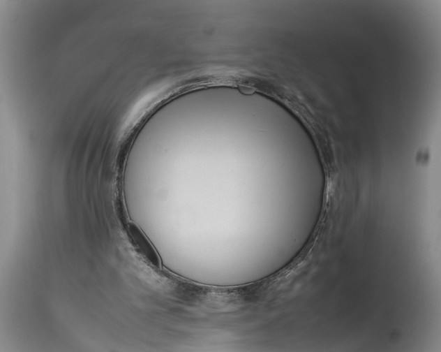 X0000114150101200911051451