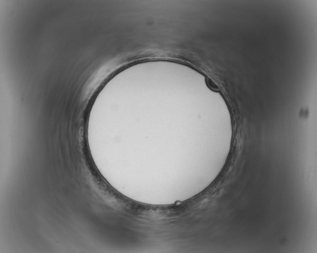 X0000114150103200911051451
