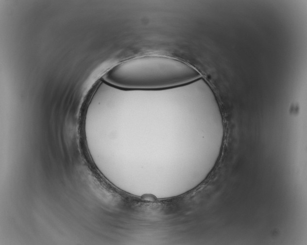 X0000114150104200911051451