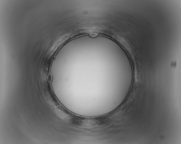 X0000114150105200911051451