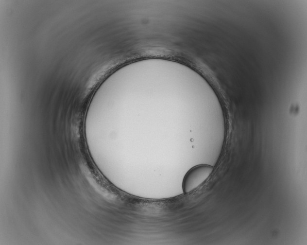 X0000114150106200911051451