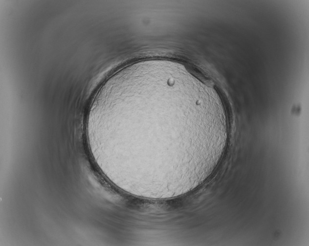 X0000114150107200911051451