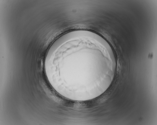 X0000114150109200911051451