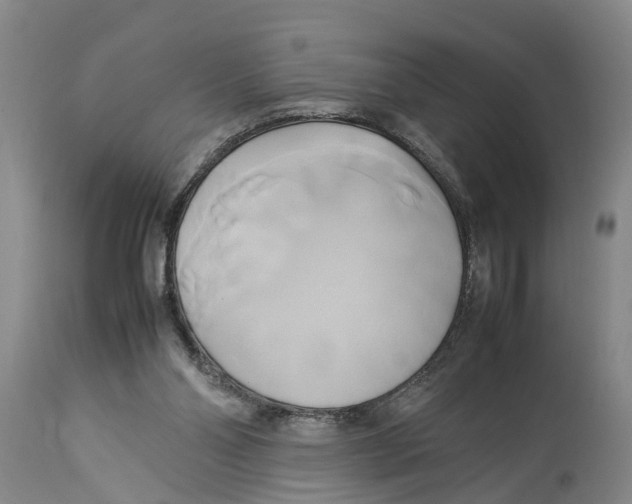 X0000114150110200911051451