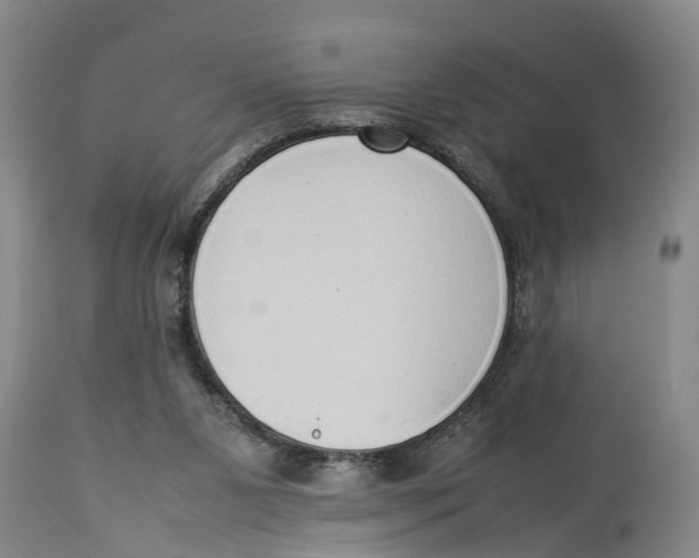 X0000114150111200911051451