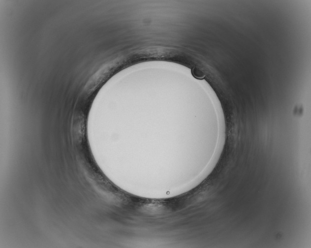 X0000114150119200911051451