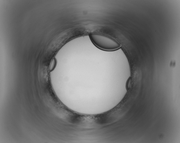 X0000114150121200911051451