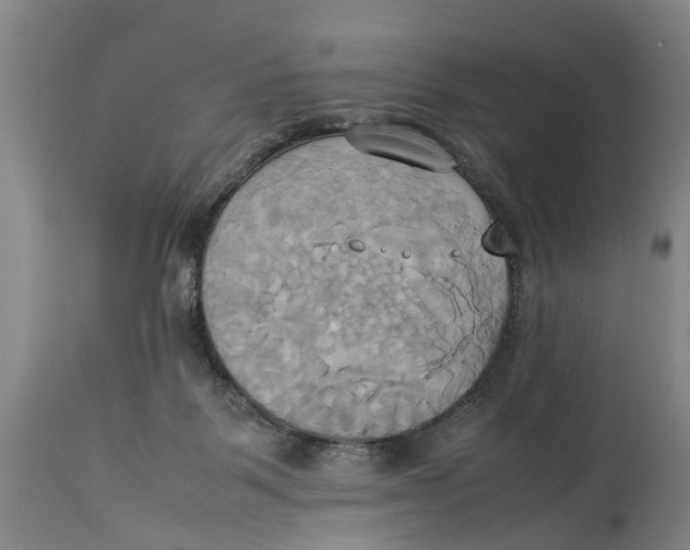 X0000114150123200911051451