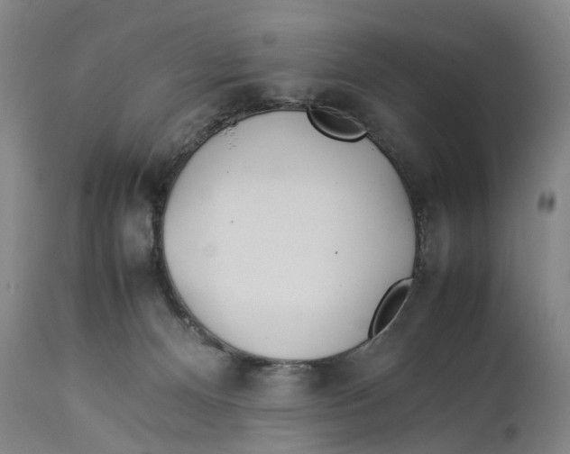 X0000114150128200911051451