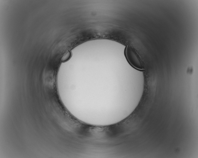 X0000114150129200911051451
