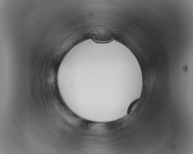 X0000114150132200911051450