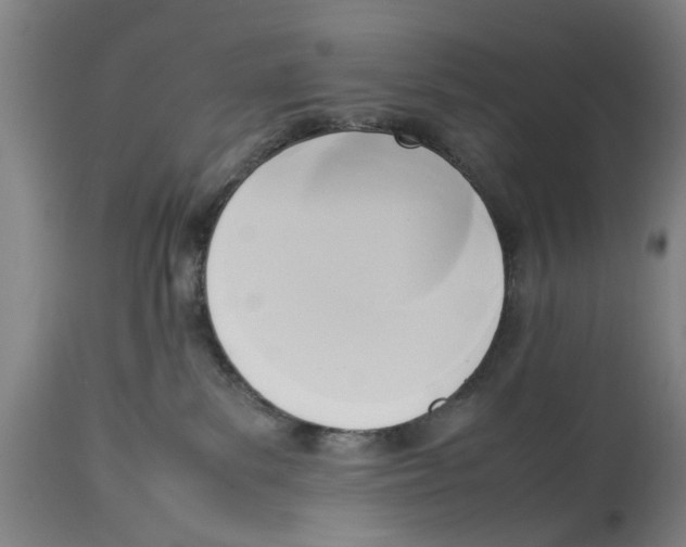 X0000114150139200911051450