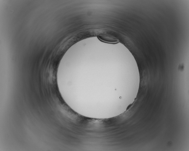 X0000114150140200911051450