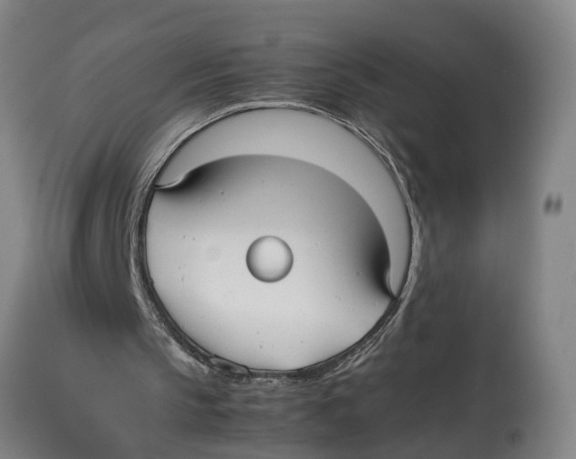 X0000114150145200911051450
