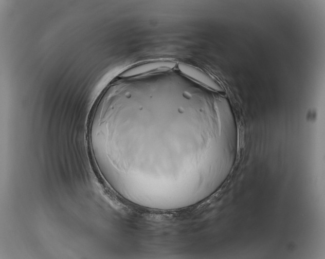 X0000114150147200911051450