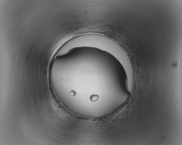 X0000114150148200911051450