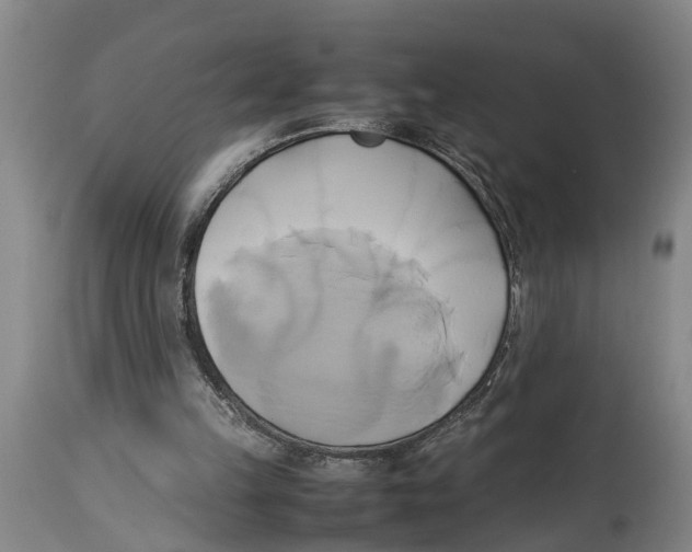 X0000114150149200911051450