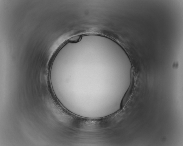 X0000114150152200911051450