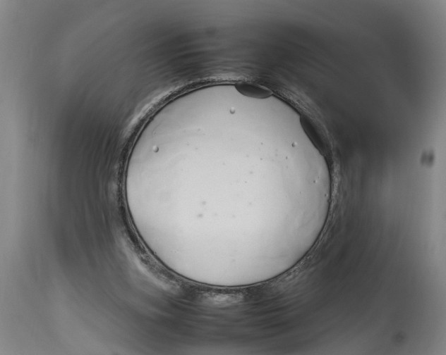 X0000114150155200911051450