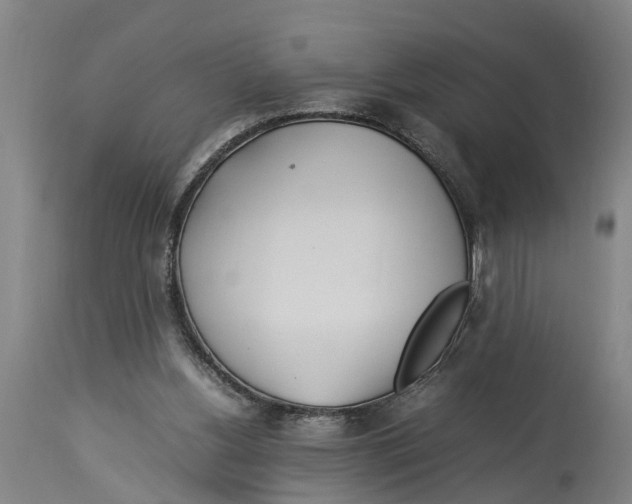 X0000114150156200911051450