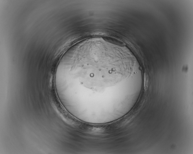 X0000114150157200911051450