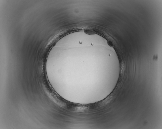 X0000114150158200911051450