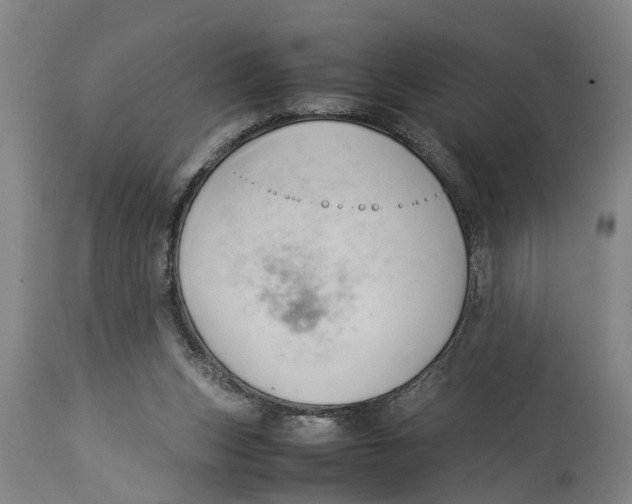 X0000114150159200911051450