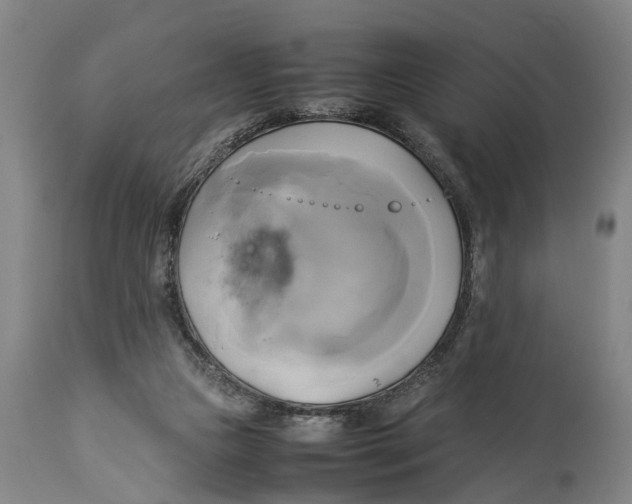 X0000114150161200911051450