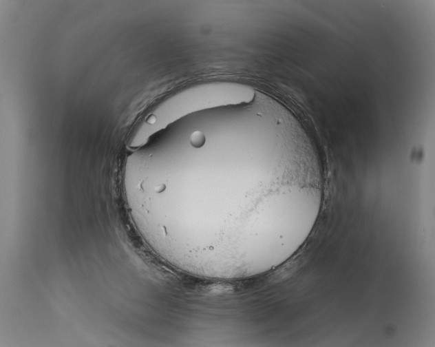 X0000114150162200911051450