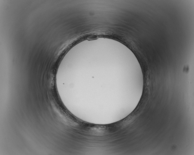 X0000114150164200911051450
